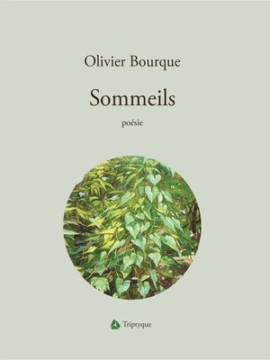 cover image of Sommeils